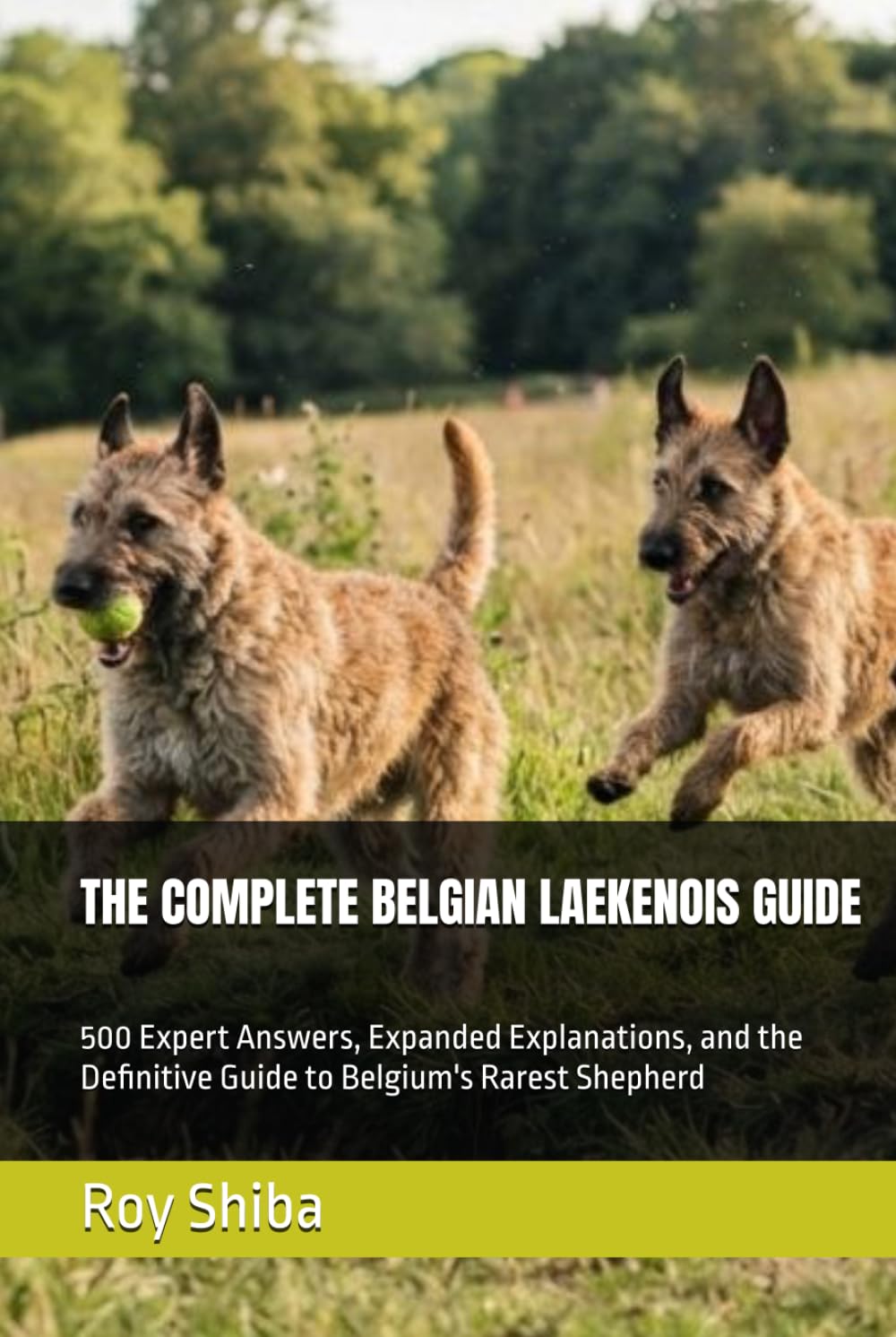 ler totalmente THE COMPLETE BELGIAN LAEKENOIS GUIDE: 500 Expert Answers, Expanded Explanations, and the Definitive Guide to Belgium's Rarest Shepherd (The Complete Dog Guide Series)