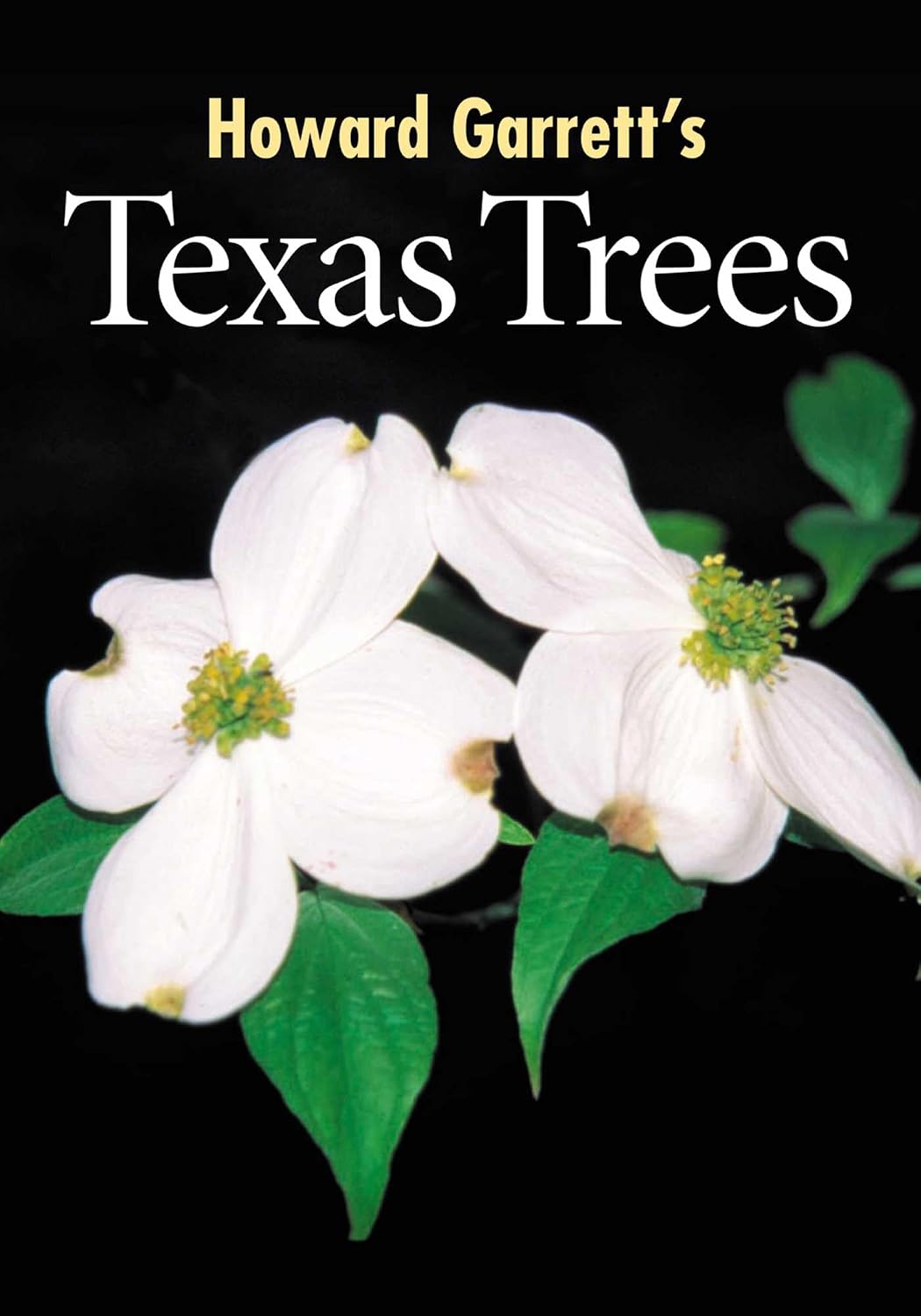 Texas Trees (English Edition) baixar o livro de graça