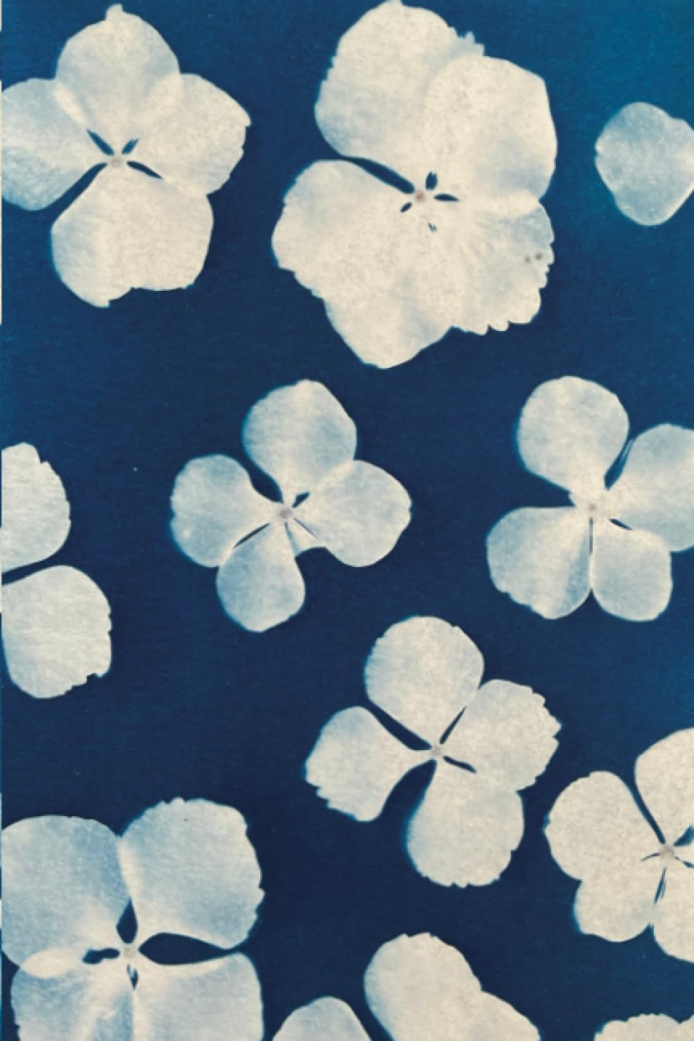 ler totalmente Carnet de notes CYANOTYPE original ligné - fleurs Hydrangea: Prise de notes, Cahier d’écriture, Journal intime (French Edition)