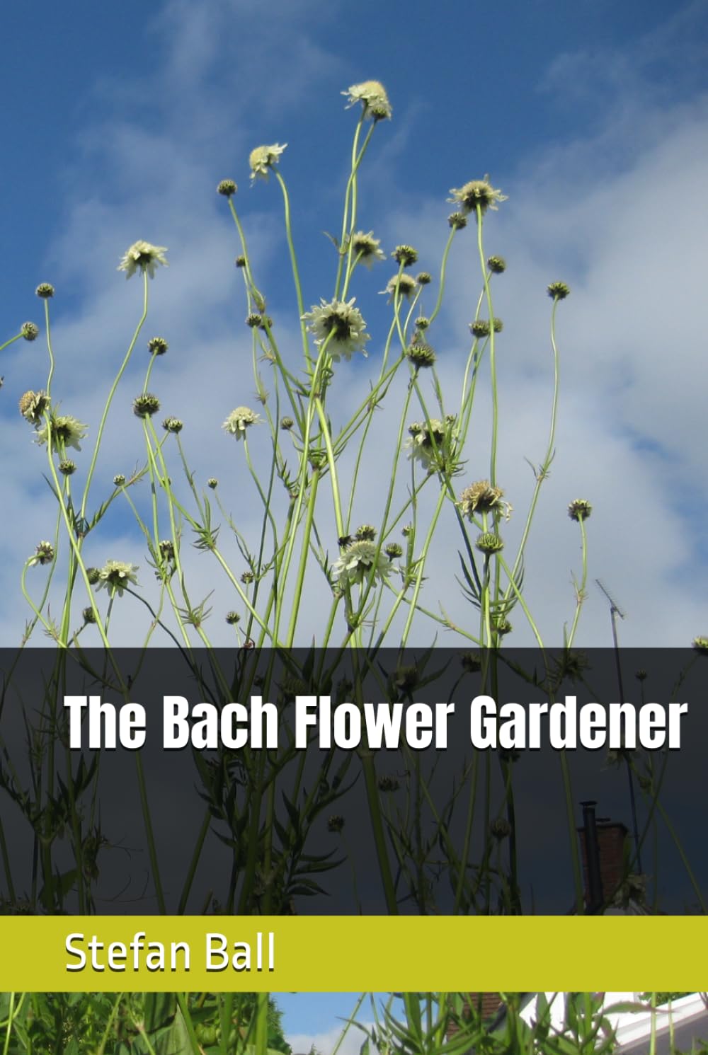The Bach Flower Gardener baixar o livro de graça