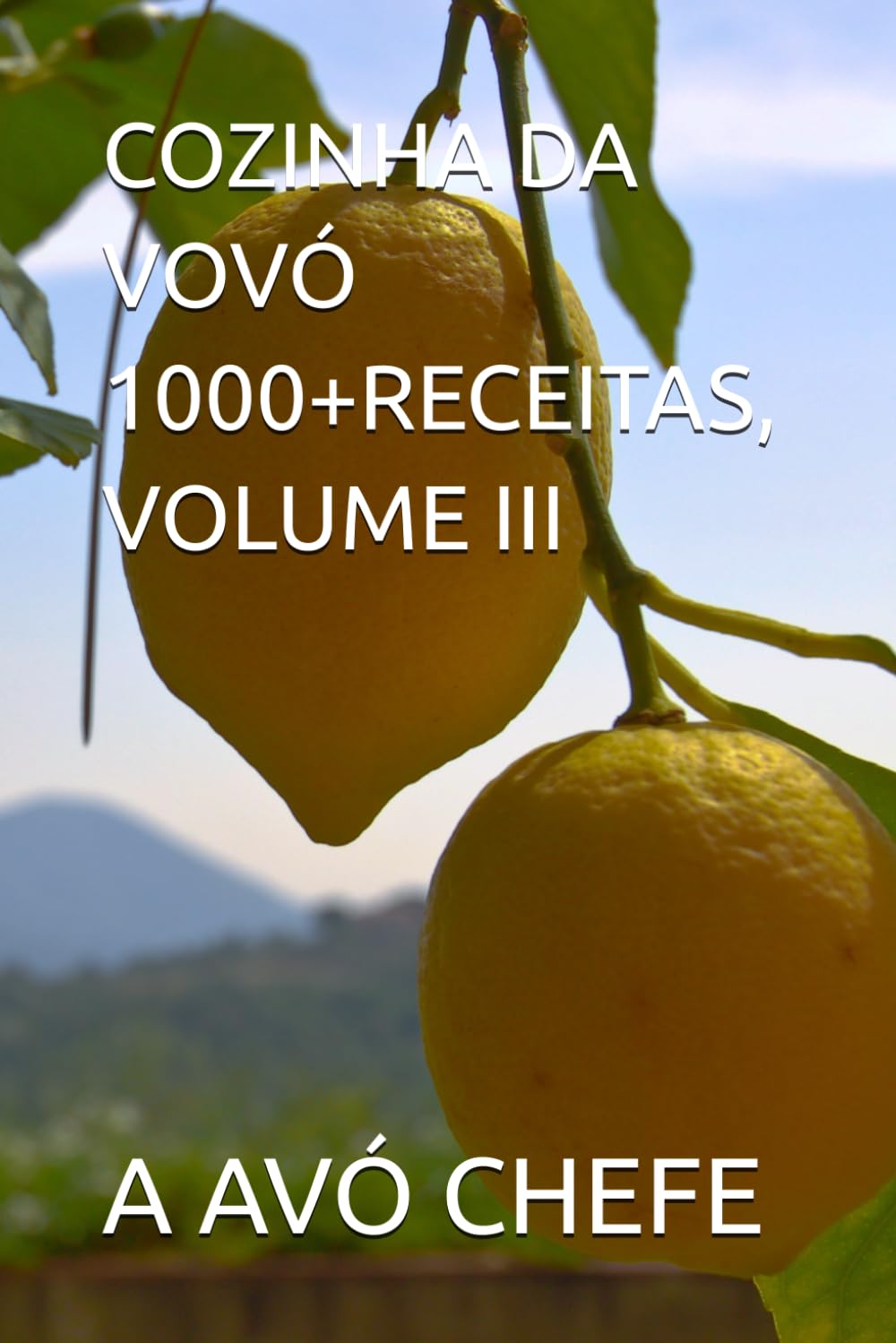 COZINHA DA VOVÓ 1000+RECEITAS, VOLUME III (COZINHA DA VOVÓ - MAIS DE 1000 RECEITAS) (Portuguese Edition) baixar livro de graça