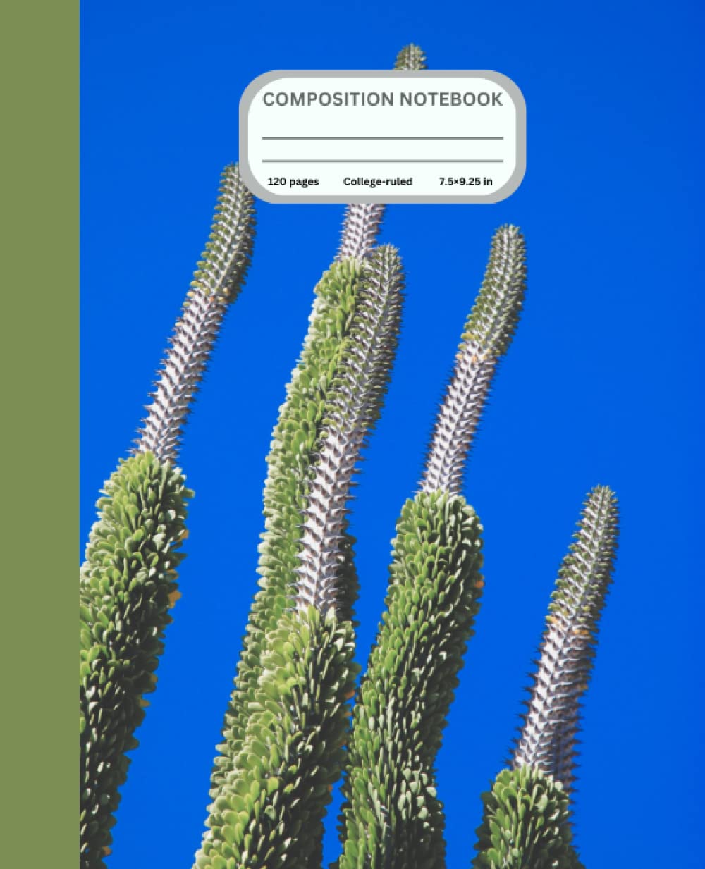 COMPOSITION NOTEBOOK COLLEGE RULED VINTAGE SHRUB: 120 Pages Floral Shrub Aesthetic Illustration baixar o livro de graça