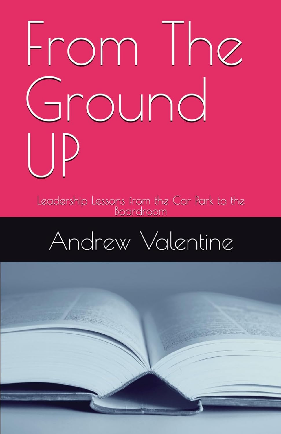 ler totalmente From The Ground UP: Leadership Lessons from the Car Park to the Boardroom