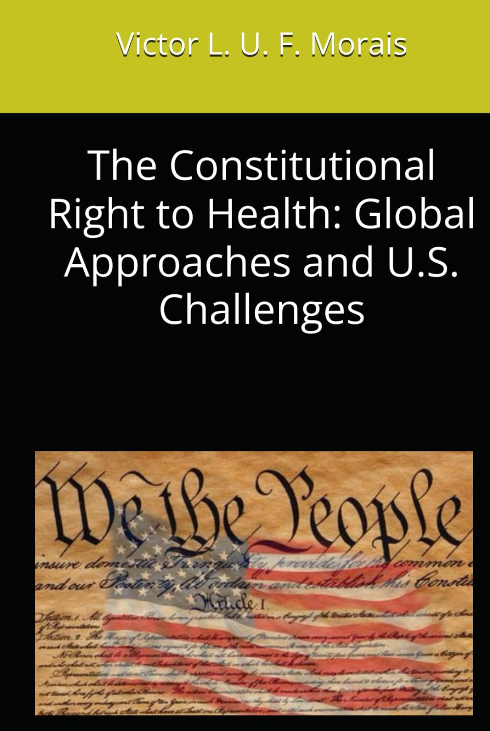capítulo por capítulo baixar The Constitutional Right to Health: Global Approaches and U.S. Challenges
