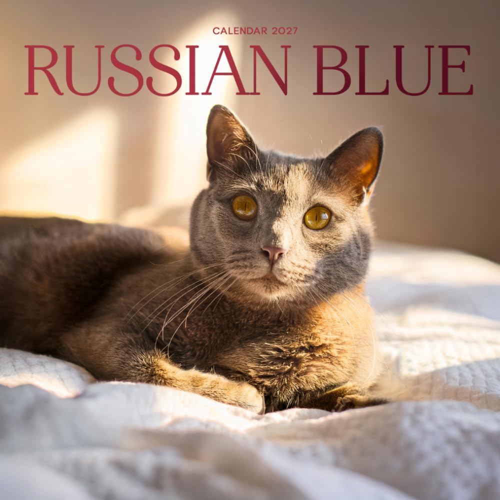 Russian Blue Calendar 2027: Cat Portraits and Breed Scenes