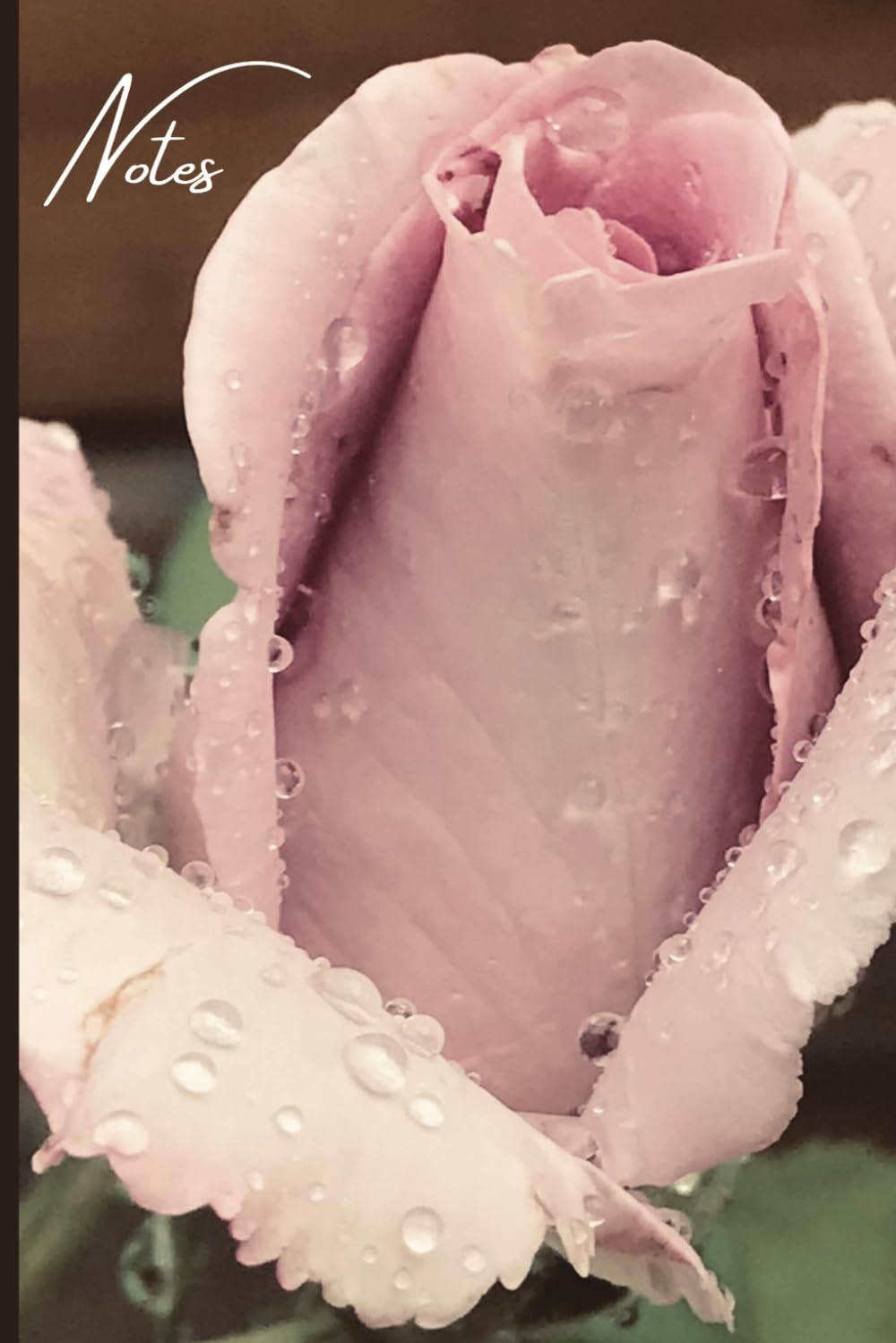 ler totalmente Nature Notebook: Blush Rose; College Ruled Notebook, Circle Date Header, 6 x 9 in., 200 pages, For kids, teens, women, and more.