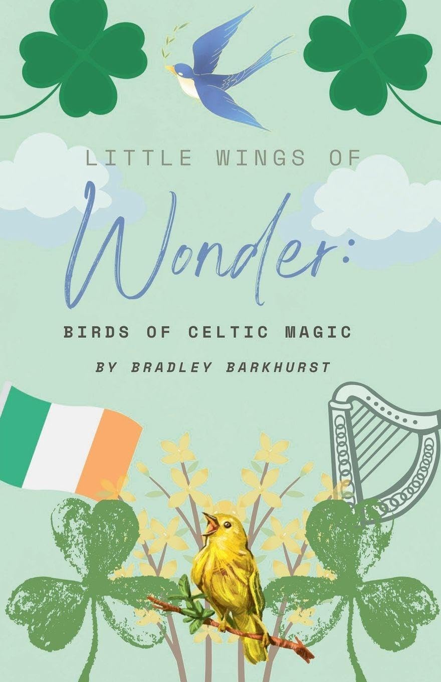 Little Wings of Wonder: Celtic Bird Magic baixar livro de graça