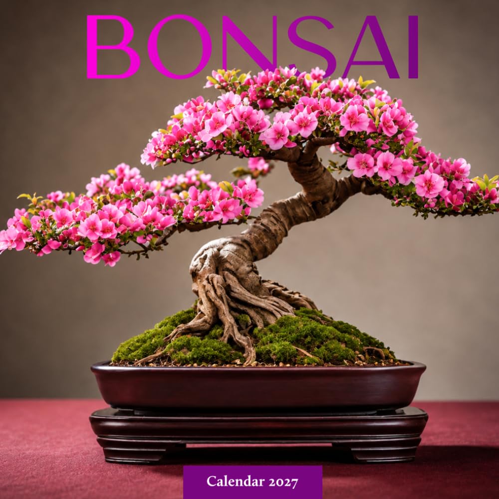 ler totalmente Bonsai Calendar 2027: Miniature Tree Photography