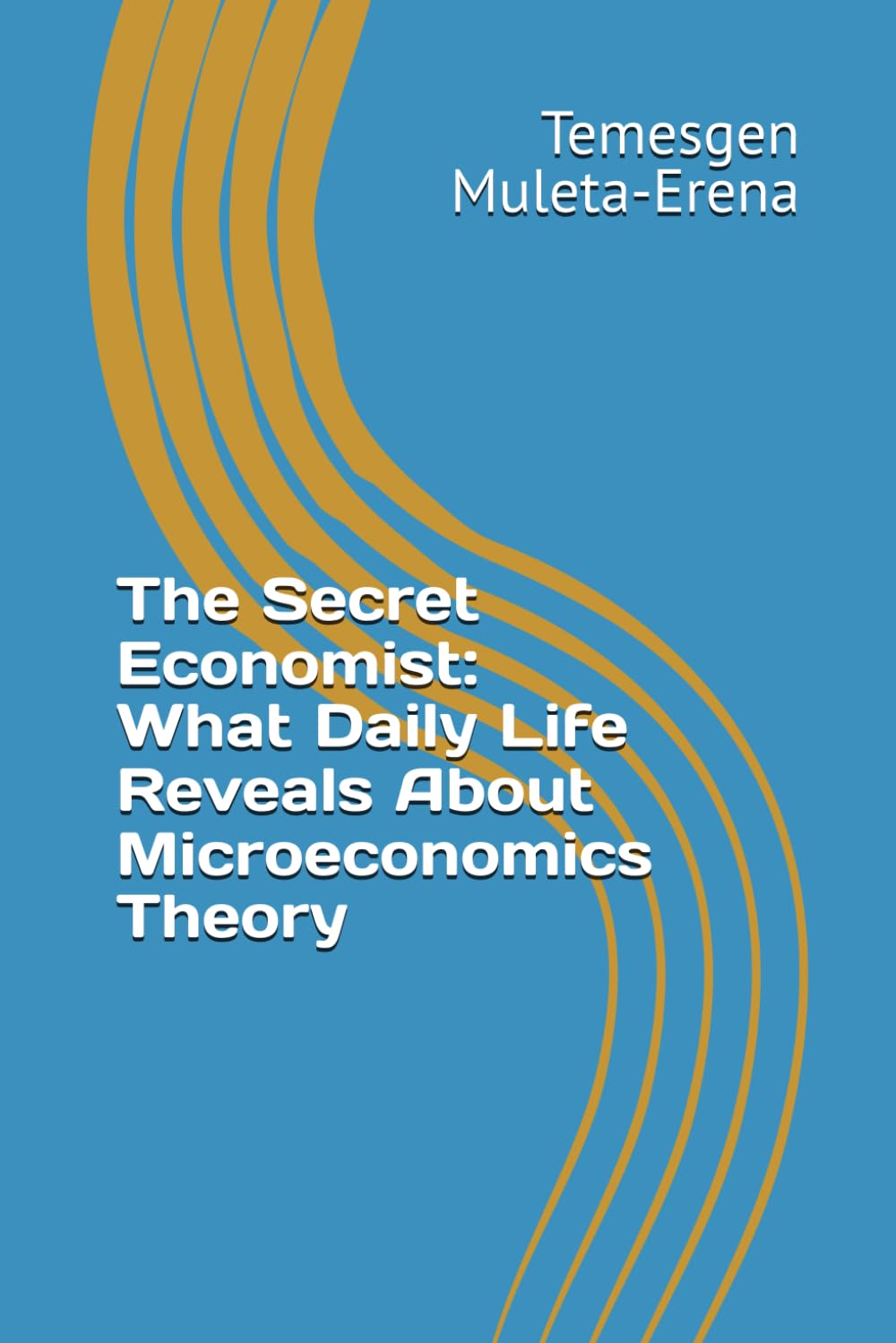 The Secret Economist: What Daily Life Reveals About Microeconomics Theory baixar o livro de graça