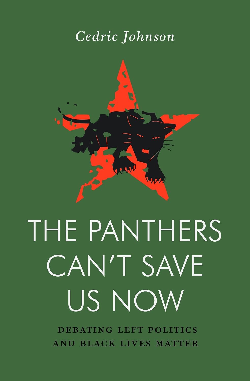 The Panthers Can't Save Us Now: Debating Left Politics and Black Lives Matter baixar o livro de graça