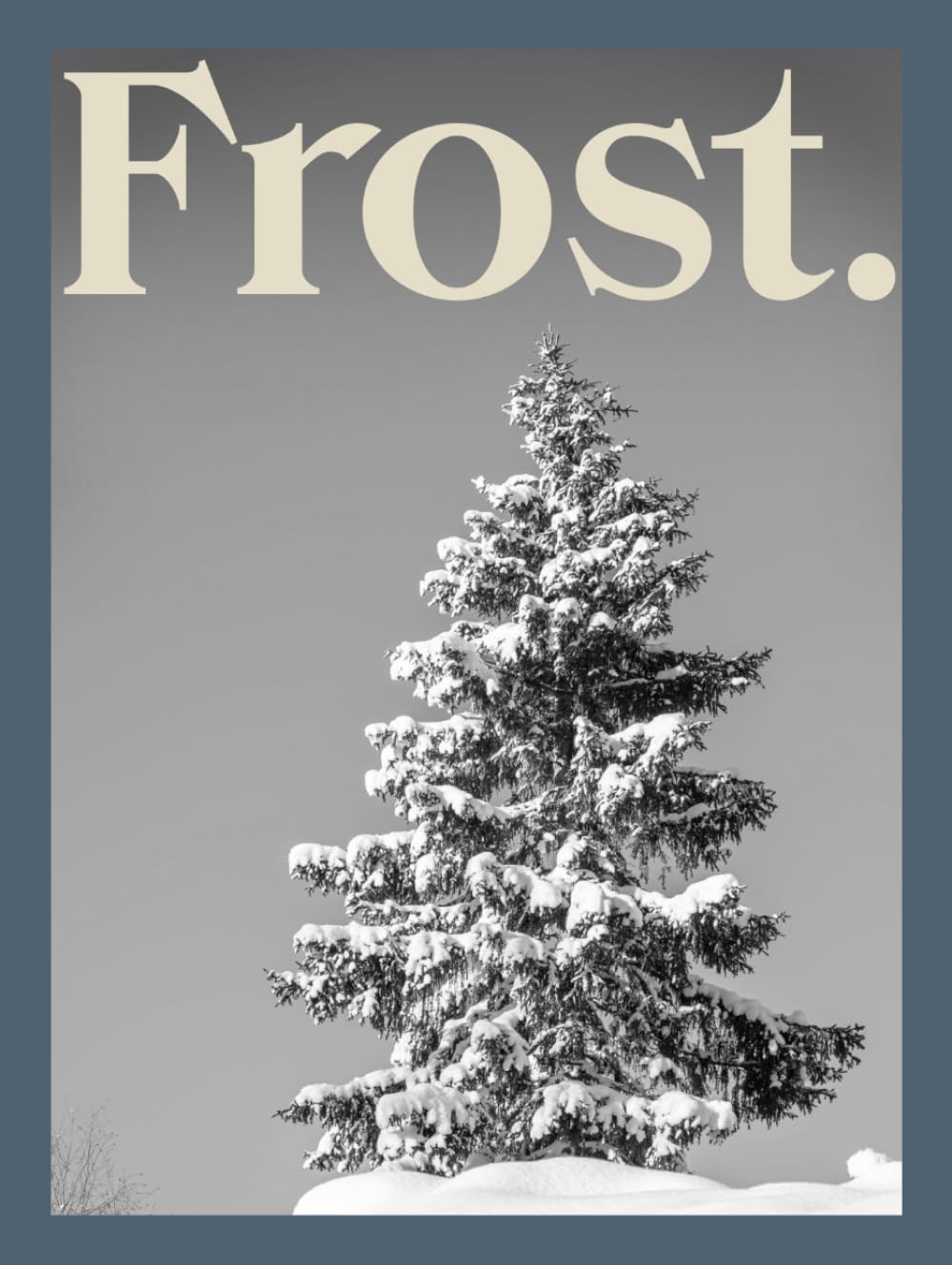 capítulo por capítulo baixar Frost: Winter Retreats From Around the World | Modern Black & White Winter Coffee Table Book
