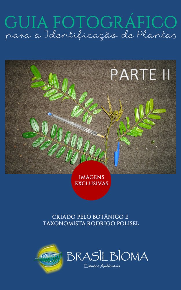 Guia Fotográfico para a Identificação de Plantas: Parte II baixar livro de graça