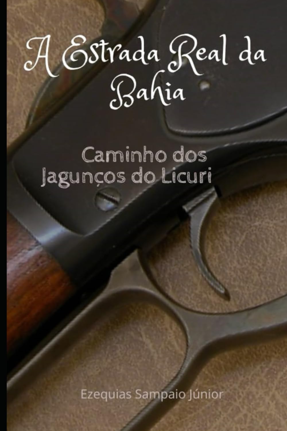 A Estrada Real da Bahia: Caminho dos Jagunços do Licuri (Portuguese Edition) baixar livro de graça