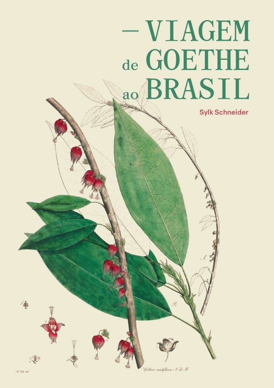 Viagem de Goethe ao Brasil: uma jornada imaginária baixar o livro de graça