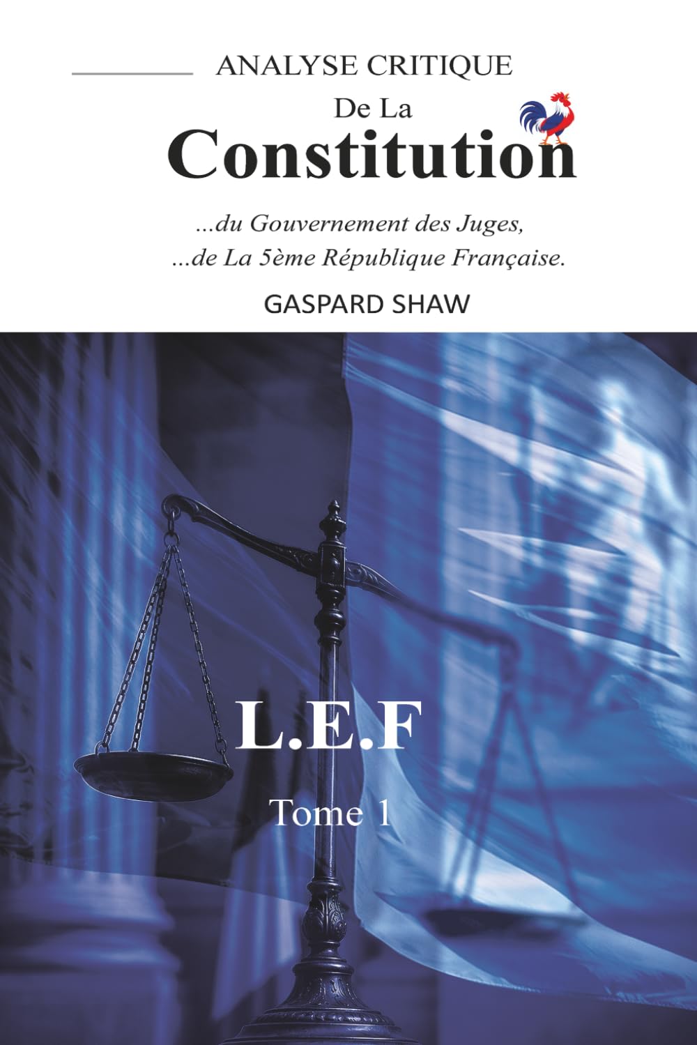 ler totalmente Analyse Critique de la Constitution de la Ve République Française et du Gouvernement des Juges-Tome 1 (Critical Analysis of the Constitution of the... enferme la démocratie ? (French Edition)