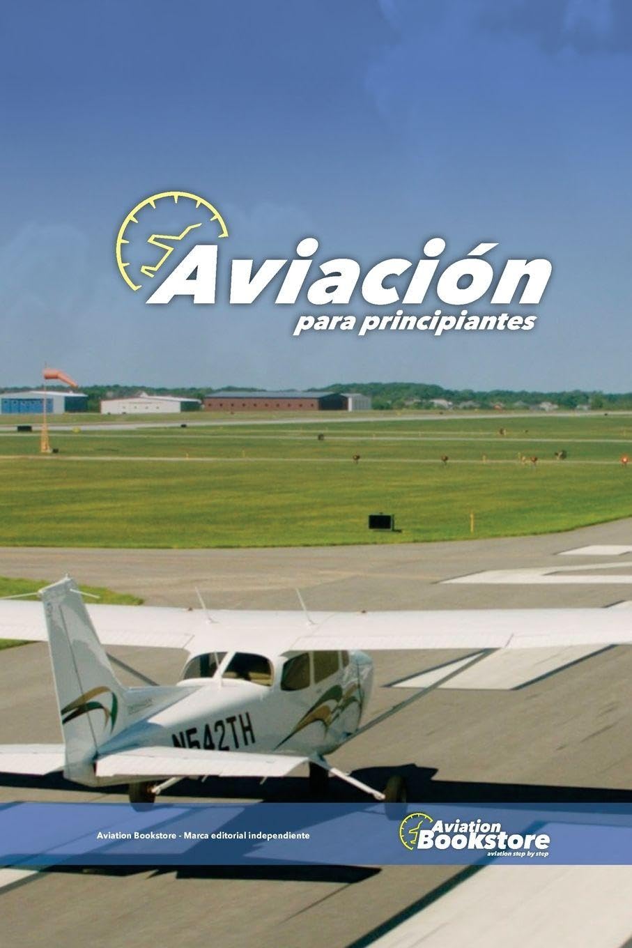 ler totalmente Aviación para Principiantes: Tus primeros pasos en aviación