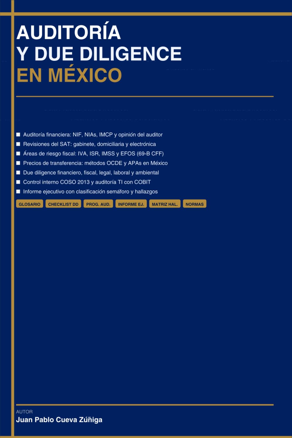 AUDITORÍA Y DUE DILIGENCE EN MÉXICO: Guía Práctica para Directivos, Auditores y Asesores Corporativos (Spanish Edition) baixar o livro de graça