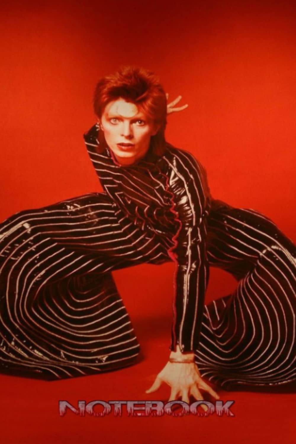 Notebook: David Bowie Wide Lined Pages - 6" x 9" - Planner, Thankgiving Notebook Journal,Diary for Women, Men #107 baixar o livro de graça
