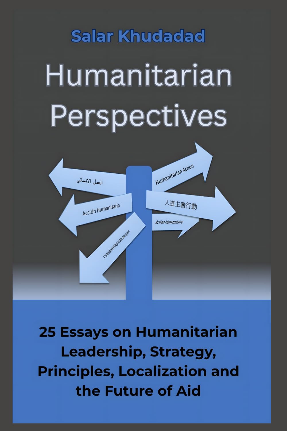 Humanitarian Perspectives: 25 Essays on Humanitarian Leadership, Strategy, Principles, Localization and the Future of Aid baixar livro de graça