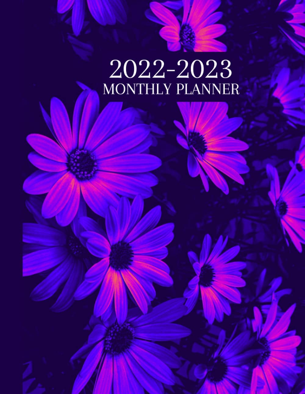 2022-2023 Monthly Planner: 2 Year Monthly Planner Calendar and Organizer from January 2022 to December 2023 with Floral Cover | 24 Months Schedule Planner baixar livro de graça
