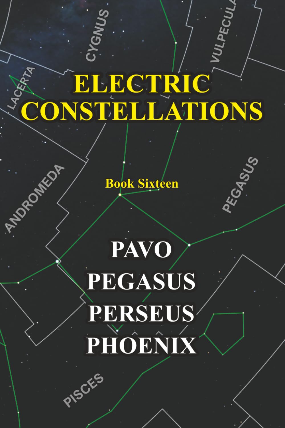 ler totalmente Electric Constellations Book 16