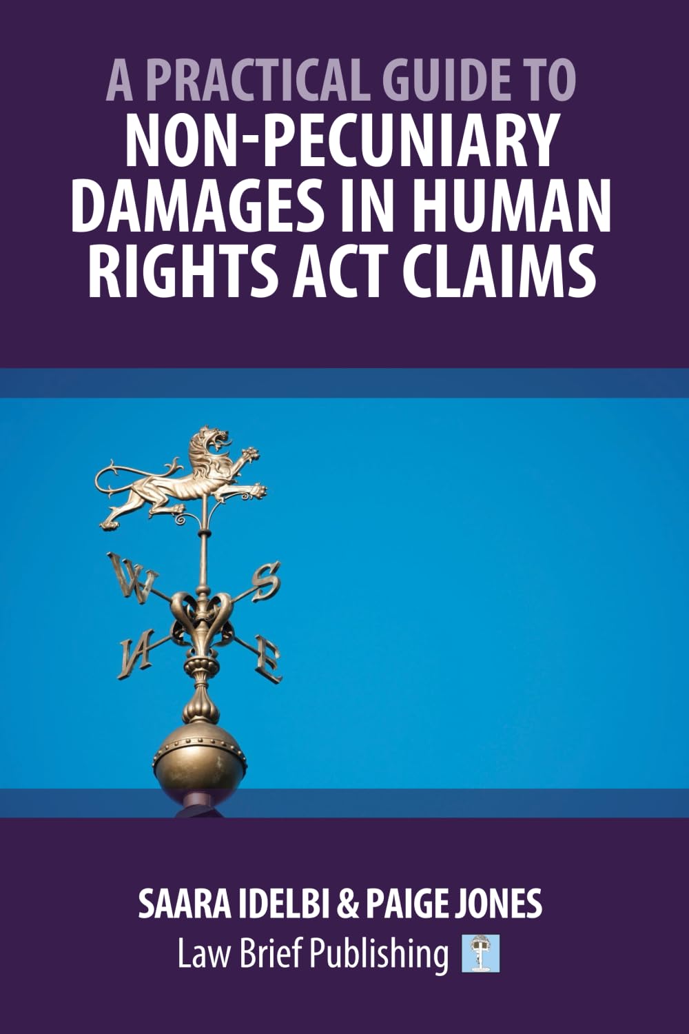 A Practical Guide to Non-Pecuniary Damages in Human Rights Act Claims baixar livro de graça