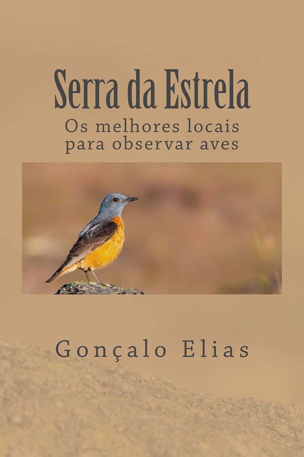 capítulo por capítulo baixar Serra da Estrela: Os melhores locais para observar aves