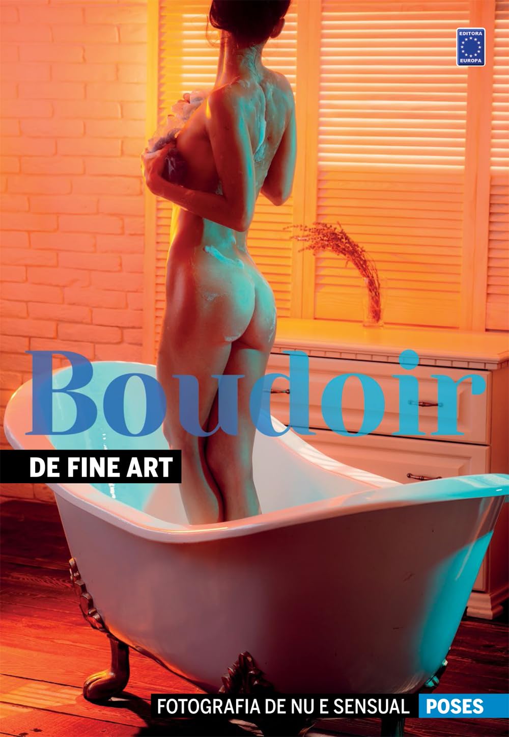 Fotografia de Nu e Sensual - Poses Boudoir - Fine Art baixar o livro de graça