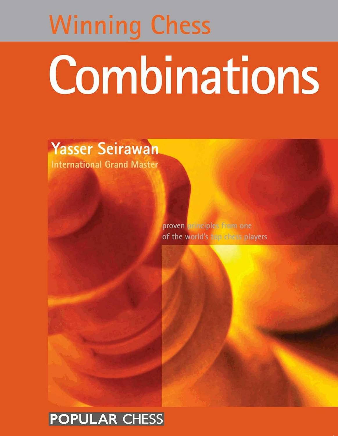 capítulo por capítulo baixar Winning Chess Combinations (English Edition)