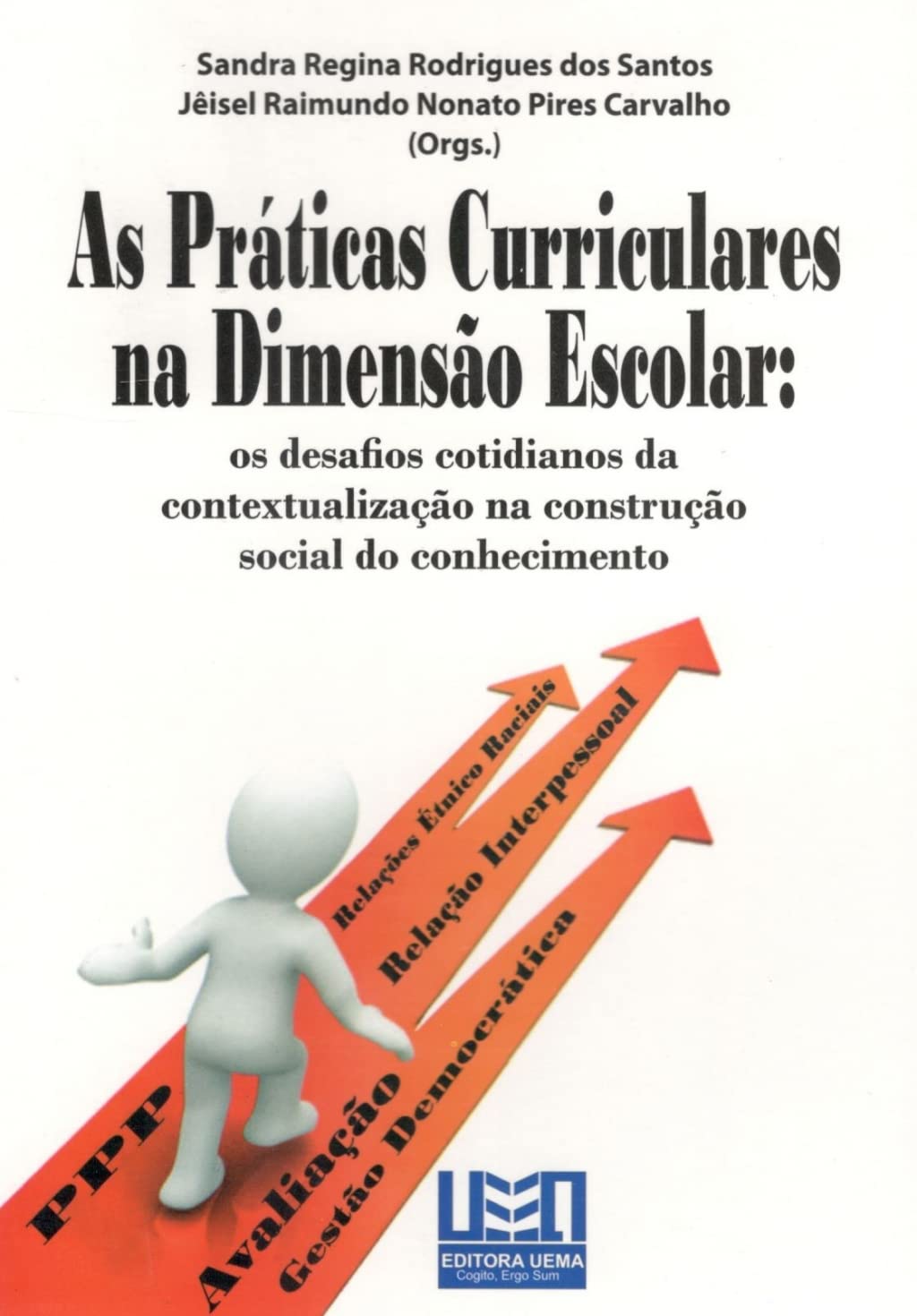 As práticas curriculares na dimensão escolar: Os desafios cotidianos da contextualização na construção social do conhecimento baixar livro de graça