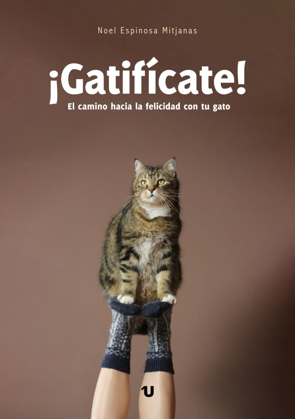 ¡Gatifícate!: El camino hacia la felicidad con tu gato baixar o livro de graça
