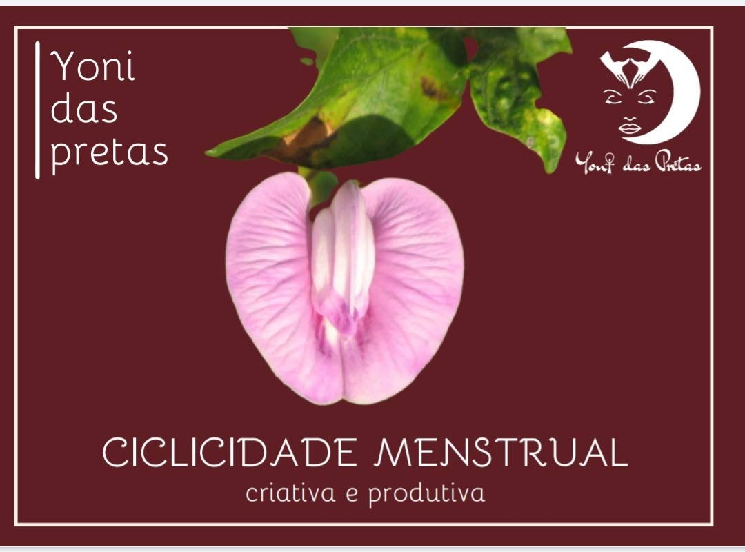 Guia da Ciclicidade Menstrual Criativa e Produtiva baixar livro de graça