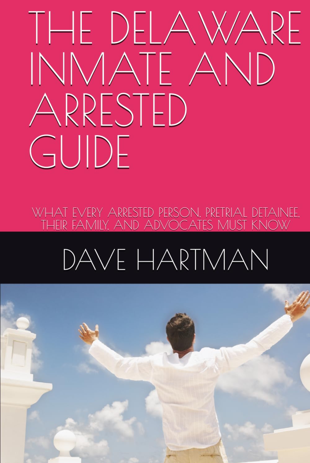 THE DELAWARE INMATE AND ARRESTED GUIDE: WHAT EVERY ARRESTED PERSON, PRETRIAL DETAINEE, THEIR FAMILY, AND ADVOCATES MUST KNOW (DELAWARE CRIMINAL JUSTICE DEFENSE SERIES) baixar o livro de graça