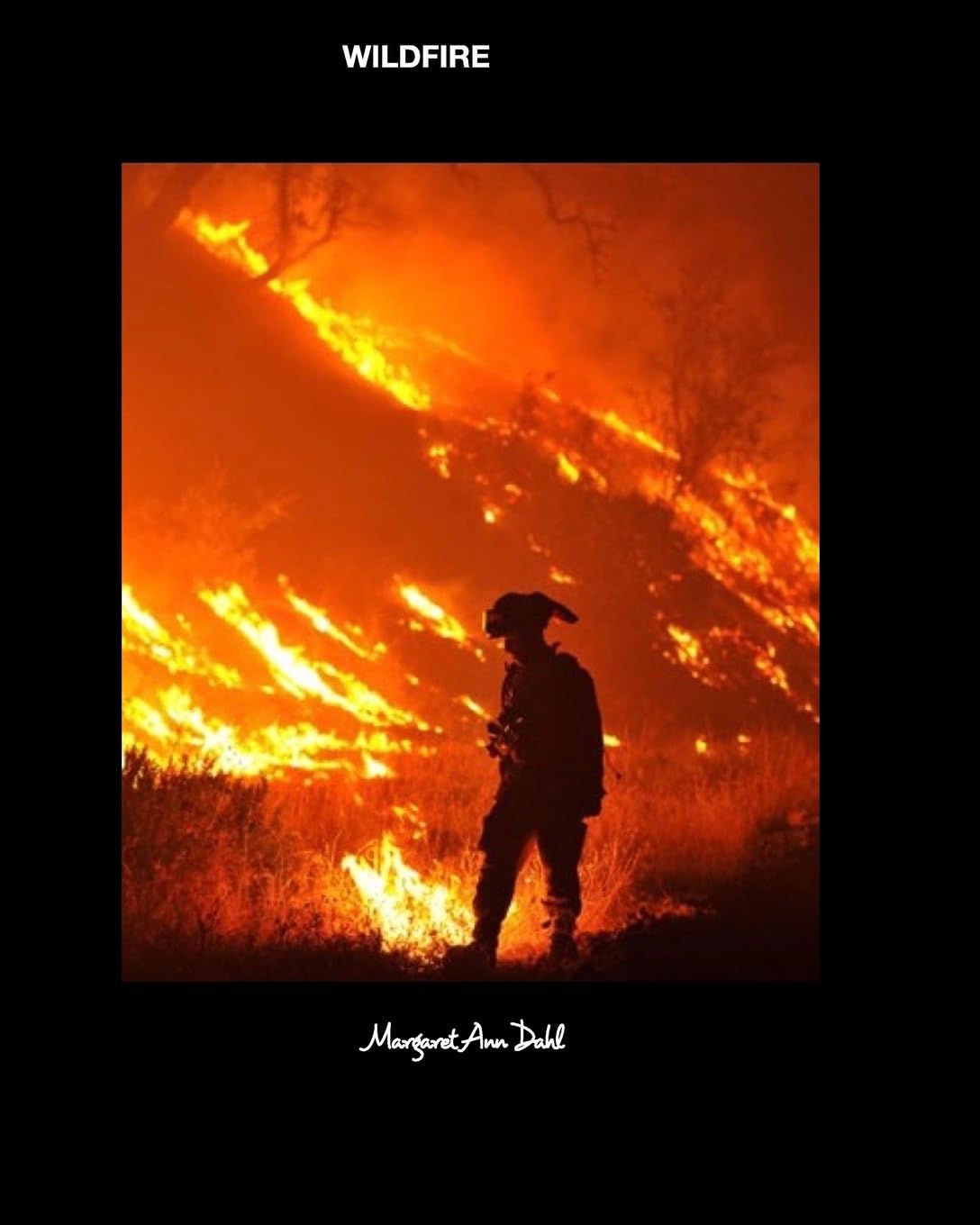 ler totalmente Wildfire