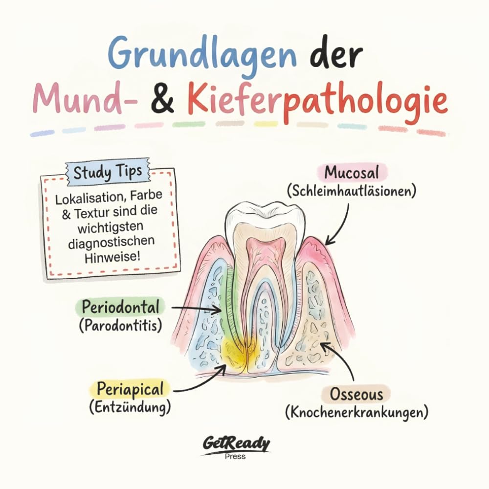 Grundlagen der Mund- und Kieferpathologie Orale Pathologie für Zahnmedizin: Visueller Leitfaden zur Vorbereitung auf die Fachsprachprüfung FSP für... Fachangestellte ZFA (German Edition) baixar o livro de graça