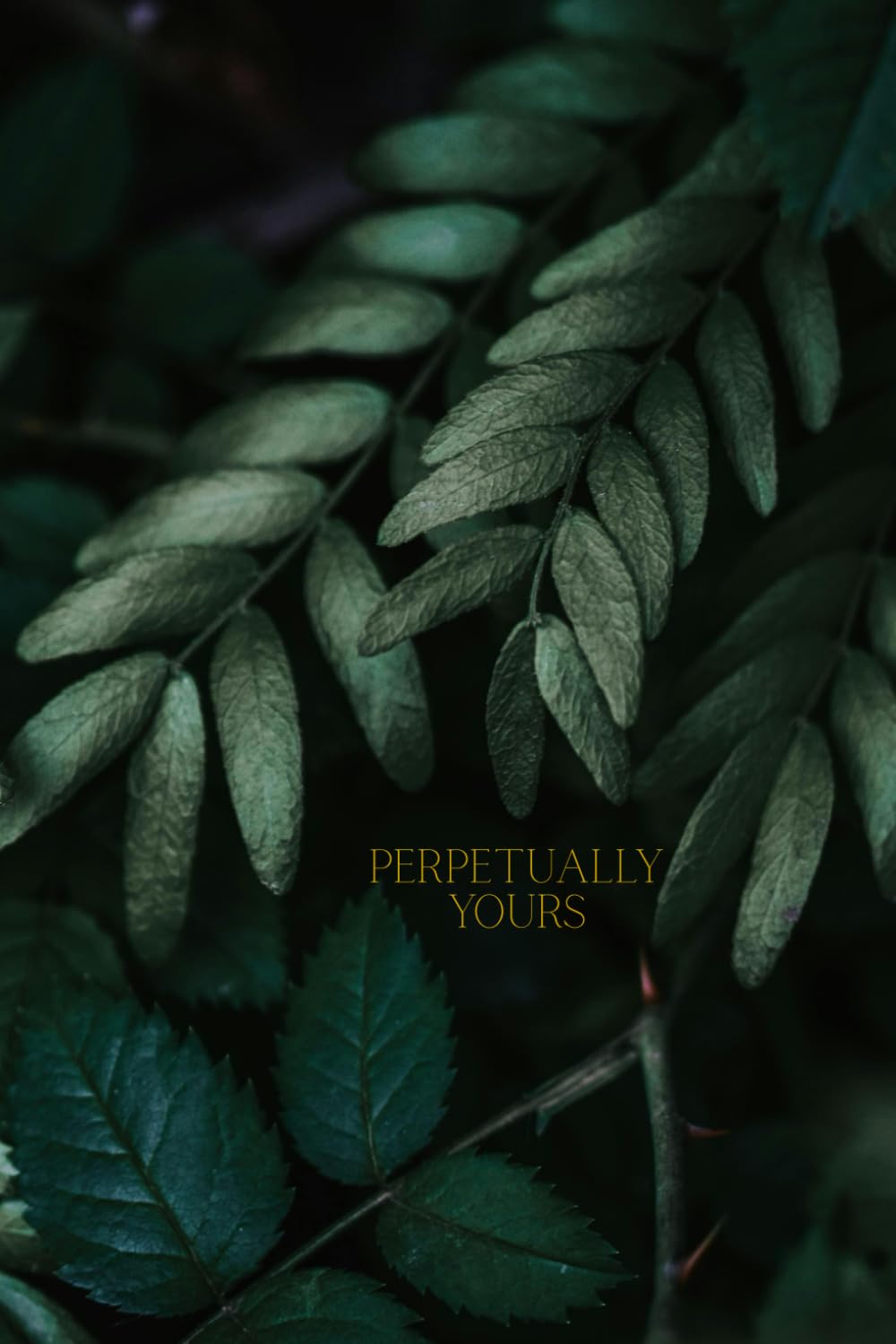 Perpetually Yours: A perpetual calandar to write down milestones and moments in your life. Beautiful gift for weddings or baby showers. baixar o livro de graça