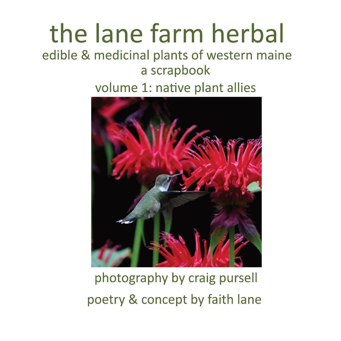 The lane farm herbal: a scrapbook: native plant allies baixar o livro de graça