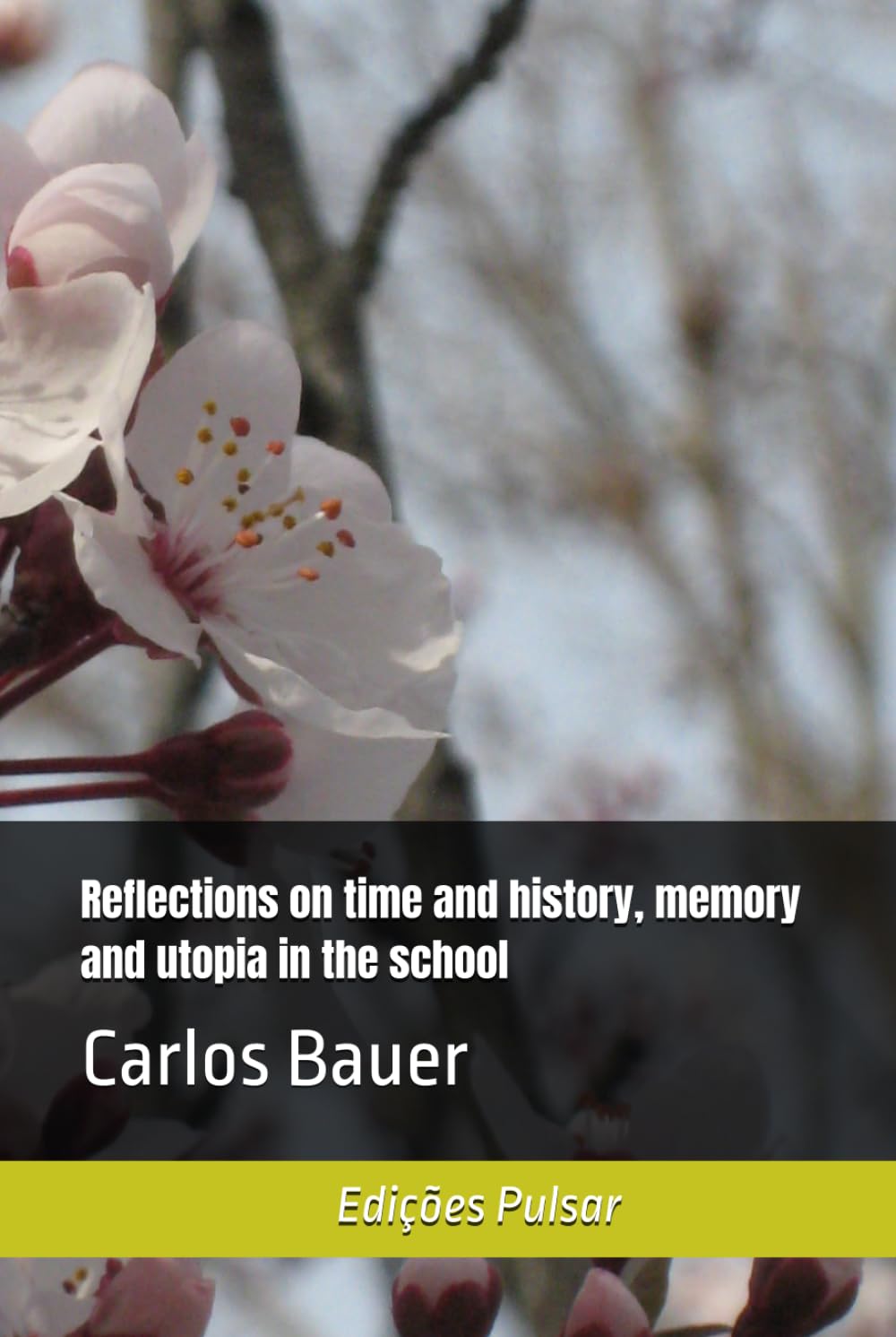 capítulo por capítulo baixar Reflections on time and history, memory and utopia in the school (Portuguese Edition)