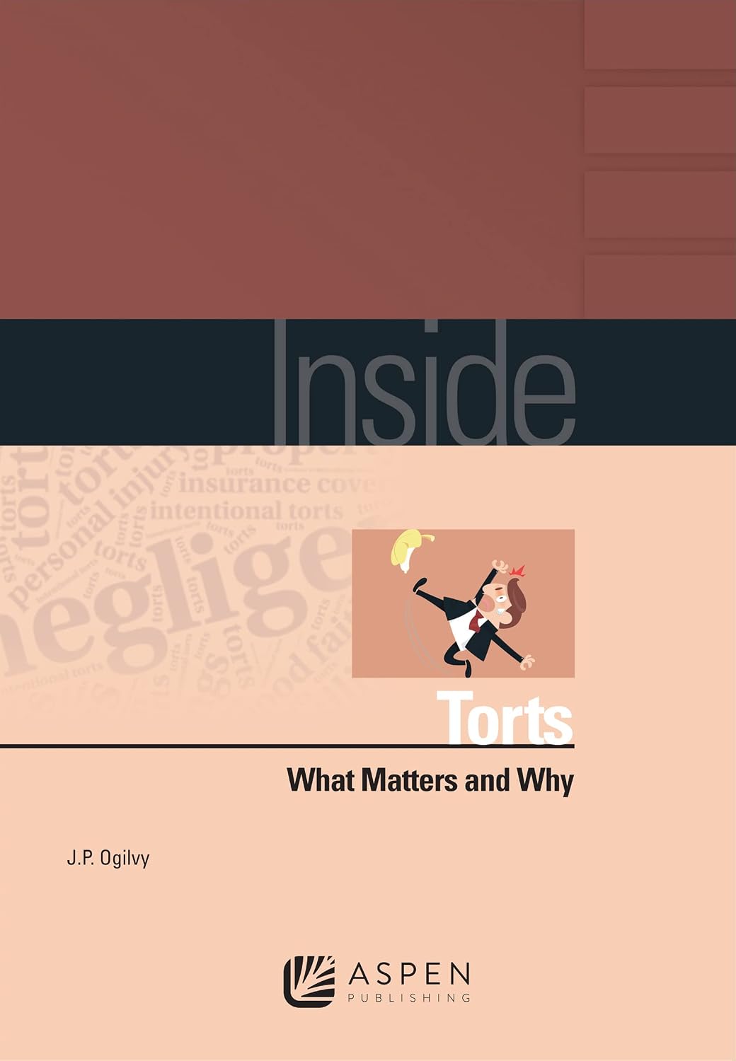ler totalmente Inside Torts: What Matters and Why (Inside Series) (English Edition)