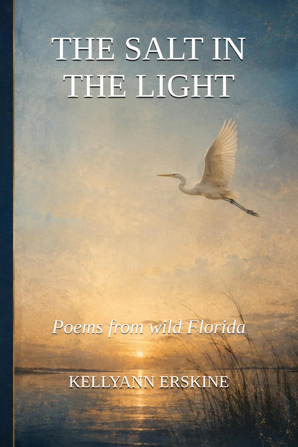 capítulo por capítulo baixar THE SALT IN THE LIGHT: Poems from wild Florida