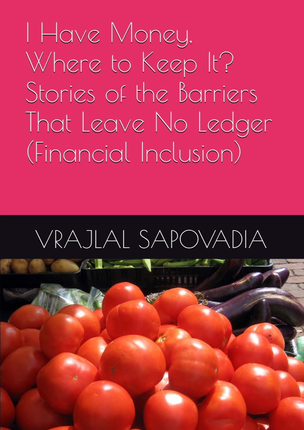 I Have Money, Where to Keep It? Stories of the Barriers That Leave No Ledger (Financial Inclusion) baixar livro de graça
