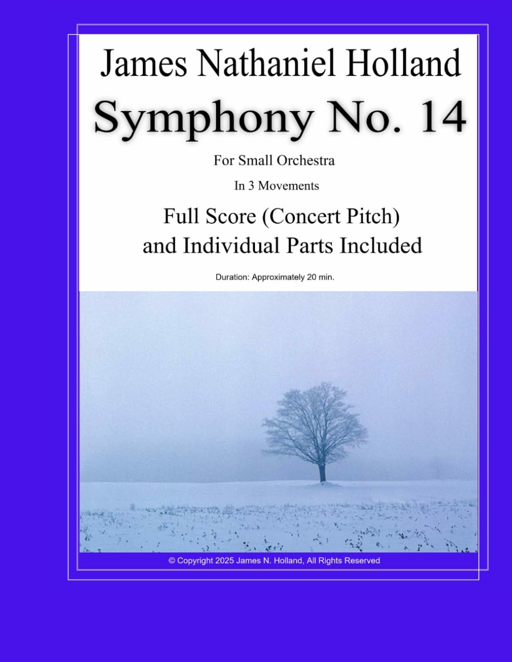 Symphony No. 14: for Small Orchestra in 3 Movements Full Score and Individual Instrument Parts: 23 baixar o livro de graça