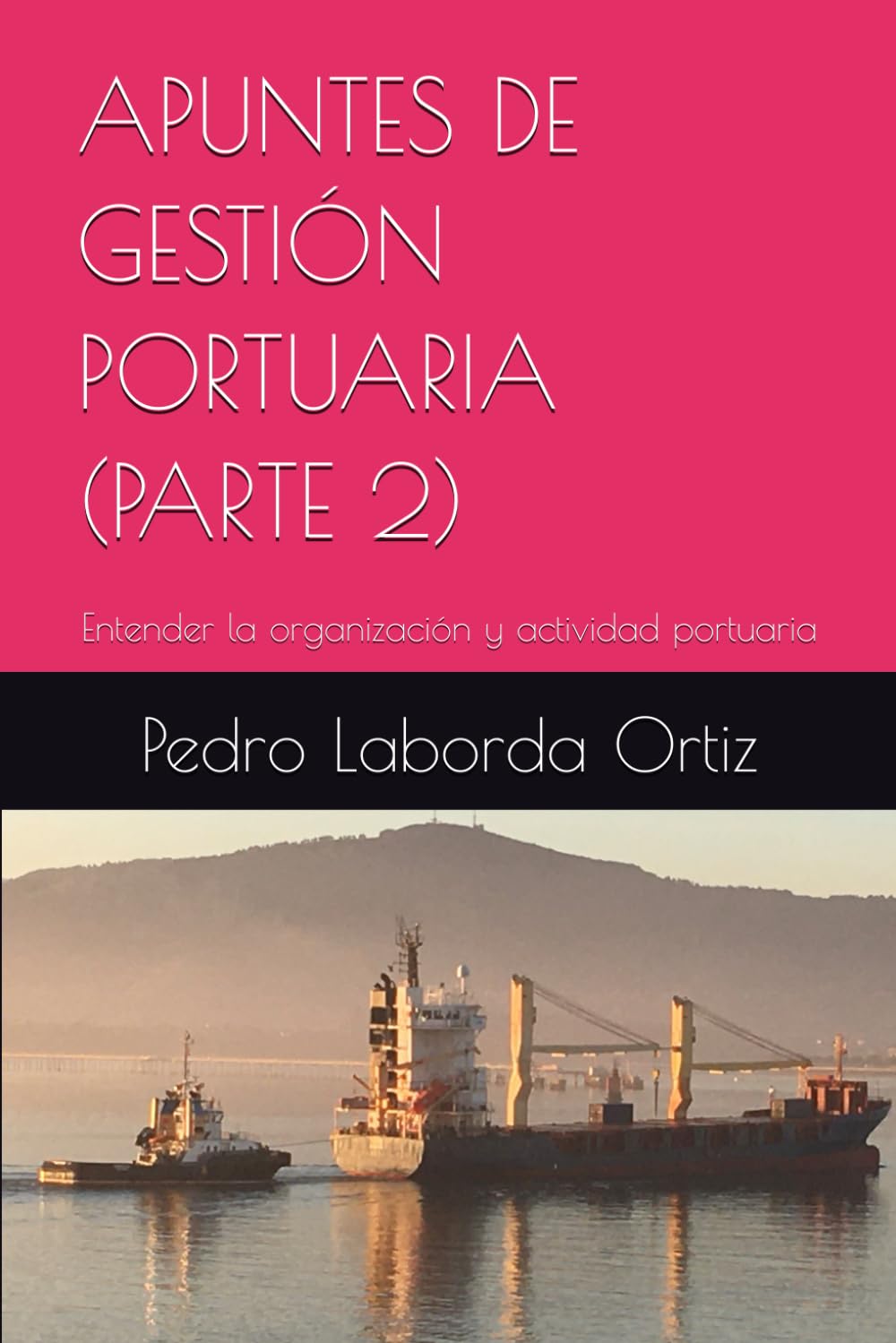 Apuntes de Gestión Portuaria (Parte 2): Entender la organización y actividad portuaria baixar livro de graça