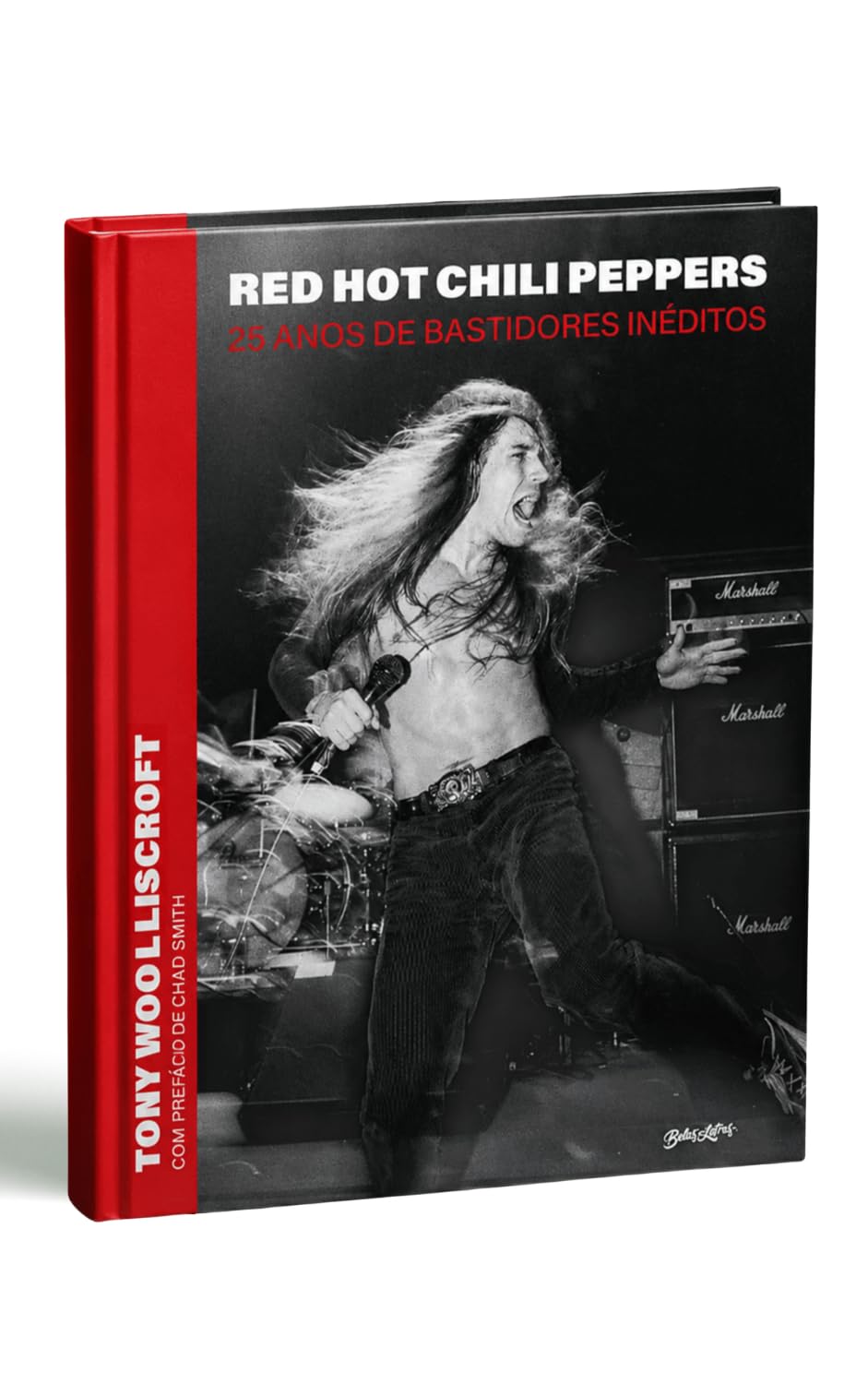 Red Hot Chili Peppers: 25 anos de bastidores inéditos baixar o livro de graça