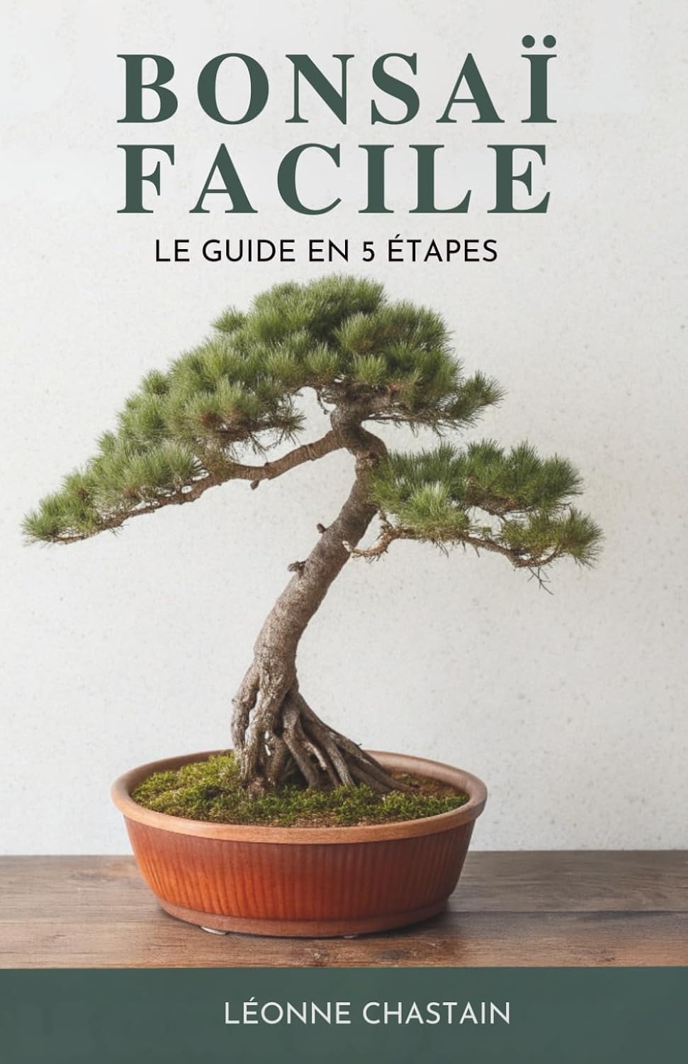 Bonsaï Facile: Le Guide En 5 Étapes (French Edition) baixar o livro de graça