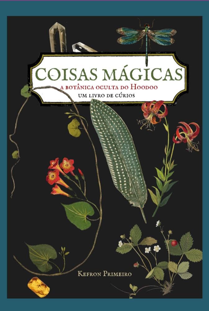 capítulo por capítulo baixar Coisas Mágicas