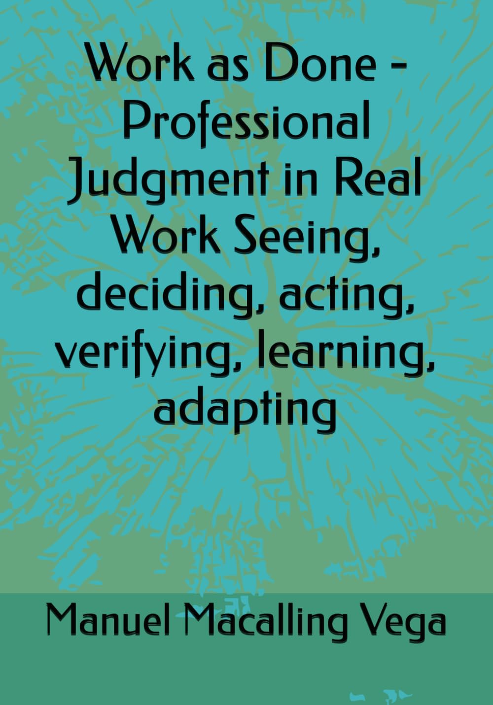 Work as Done - Professional Judgment in Real Work Seeing, deciding, acting, verifying, learning, adapting baixar o livro de graça