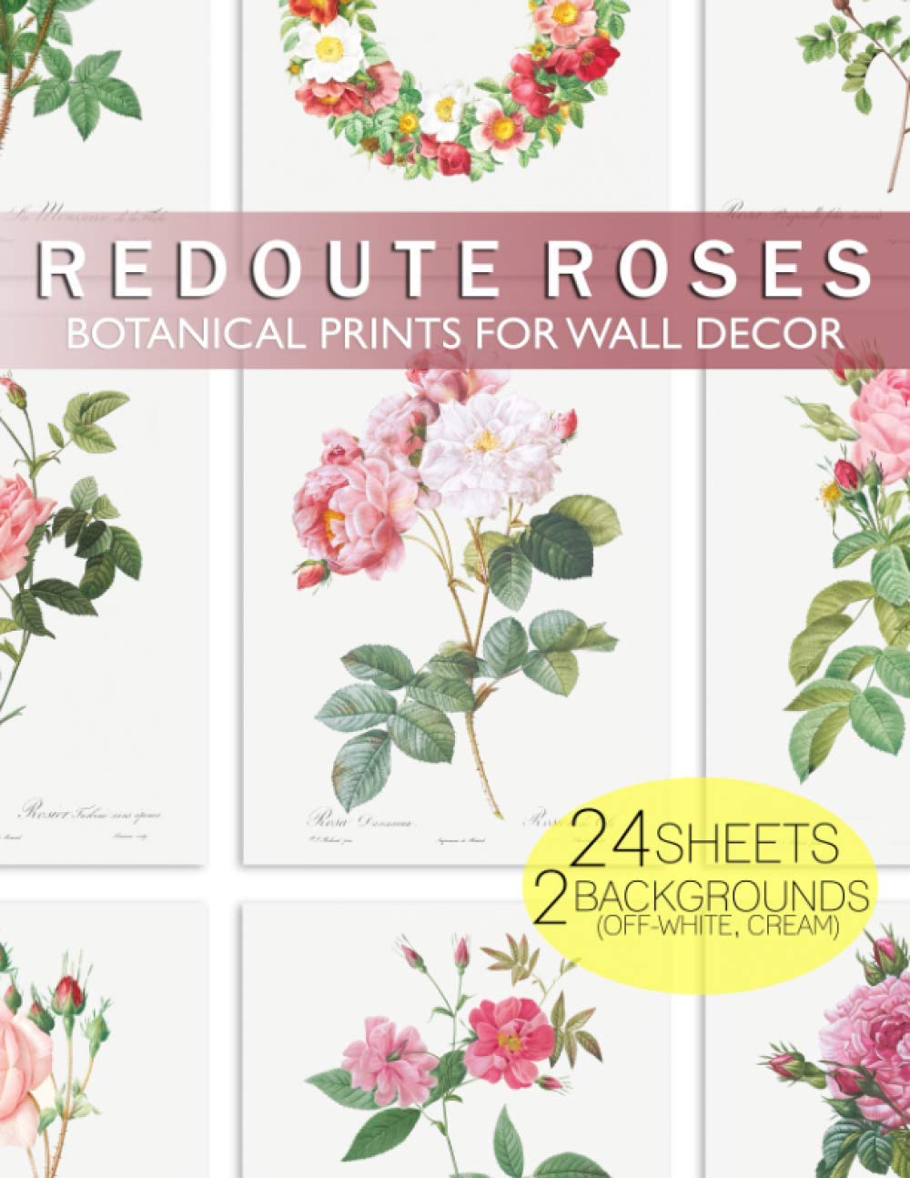 ler totalmente Redoute Roses Botanical Prints for Wall Decor: 24 cut-out ready to frame vintage wall art rose illustrations on white and cream backgrounds