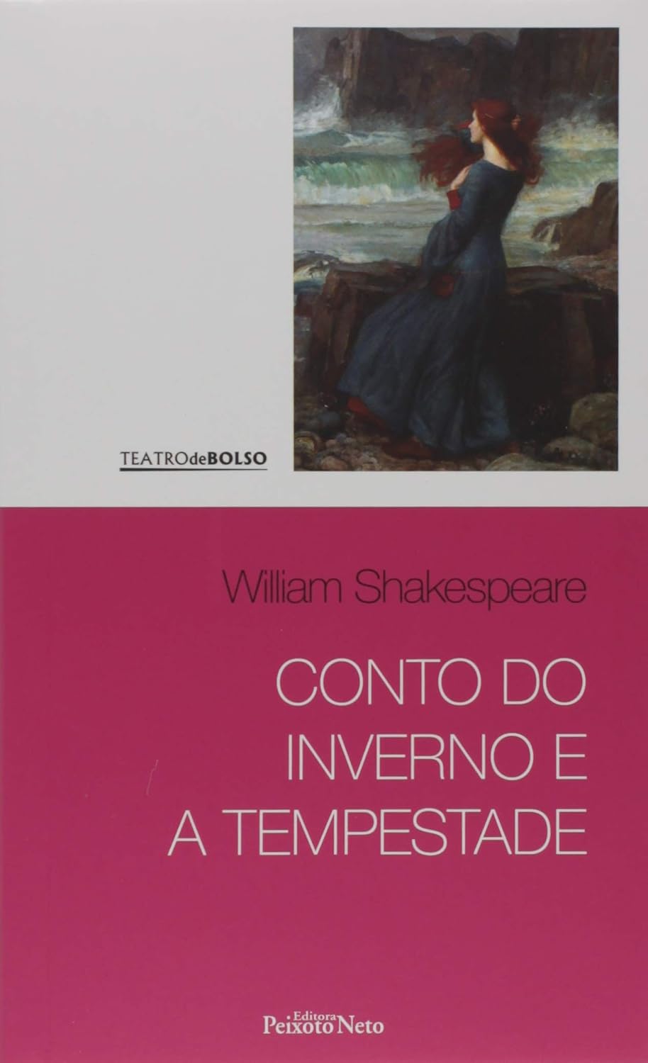 Conto do inverno e A tempestade: 10 baixar o livro de graça
