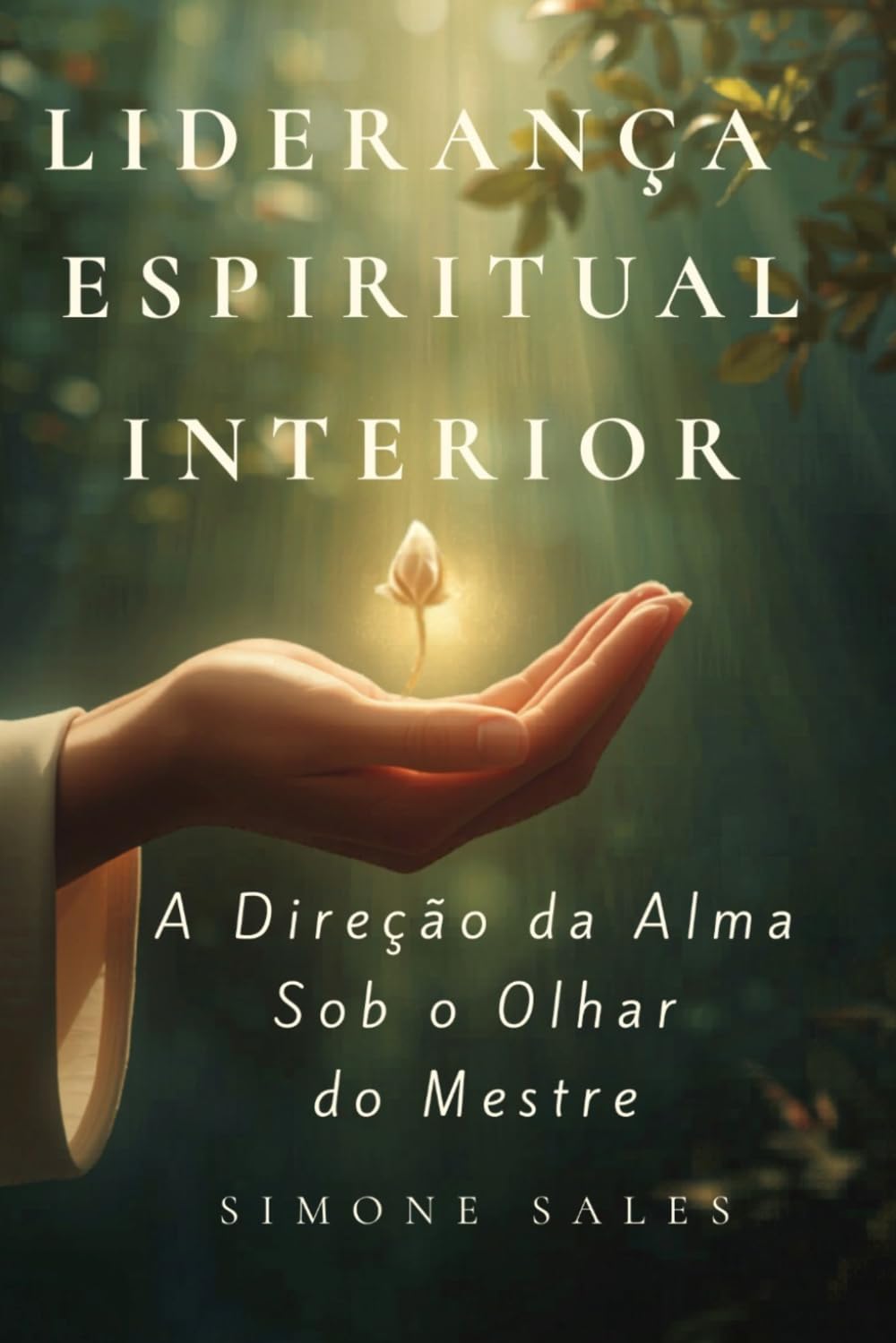 Liderança Espiritual Interior: A Direção da Alma Sob o Olhar do Mestre (Jornadas do Despertar) (Portuguese Edition) baixar o livro de graça